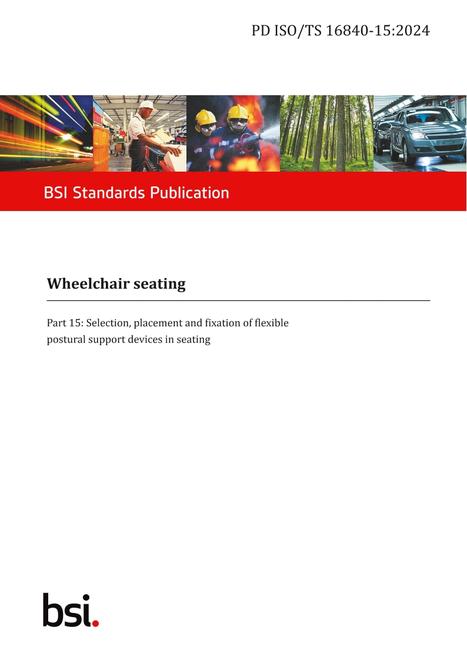 BS PD ISO/TS 16840-15:2024 pdf