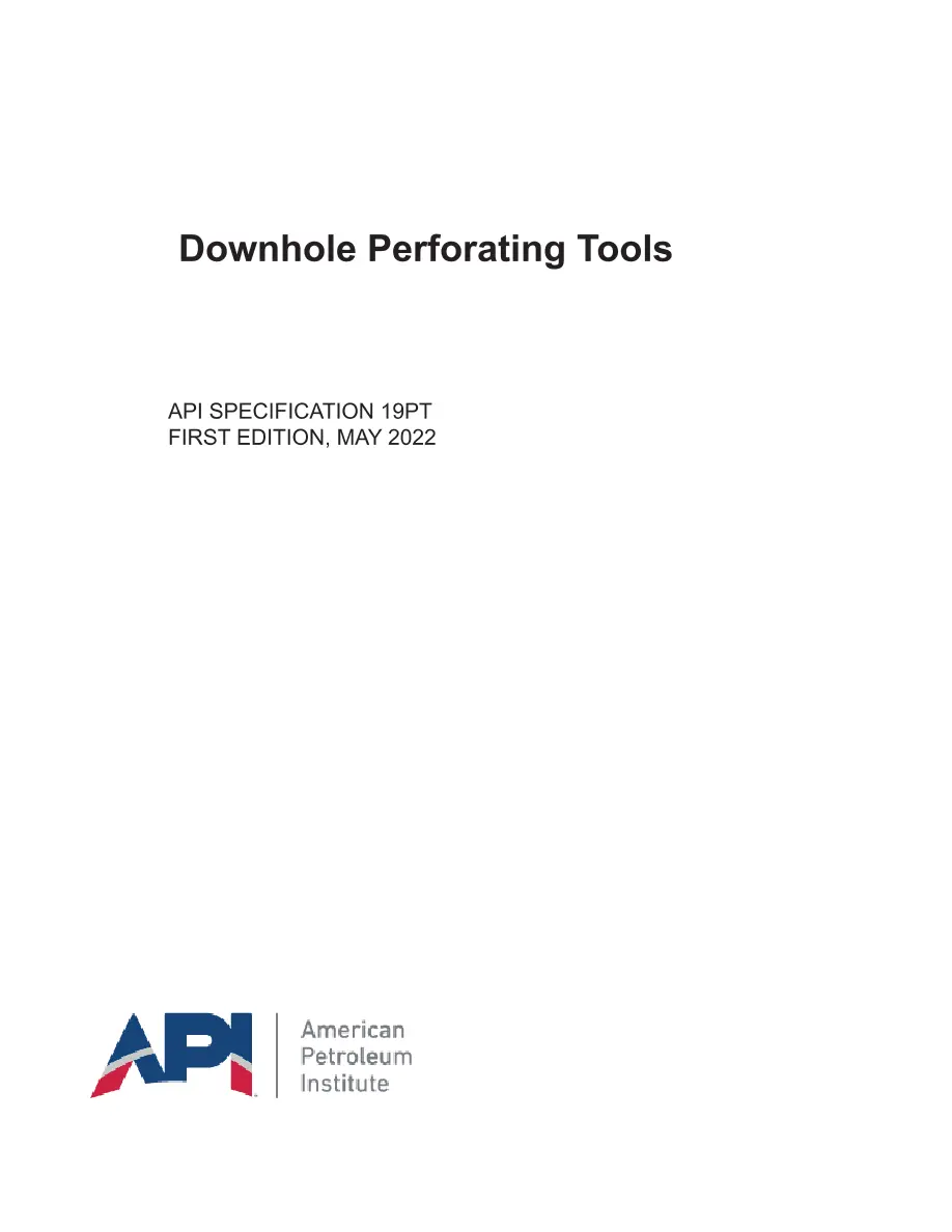 API SPEC 19PT First Edition 2022 PDF